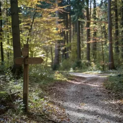 Check Deinen Wert! Du bist Innen-Ausbau(er) im Landkreis Oder Spree